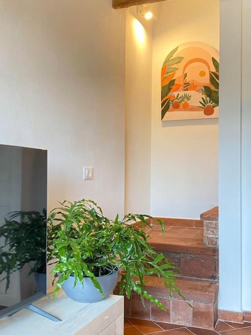 Villa Relax&Business Wi-Fi, Tv Hd, Parcheggio Gratuito Capannori Exterior foto